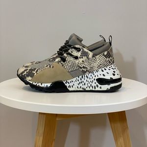 Steve Madden Cliff Animal Sneakers Size 6.5